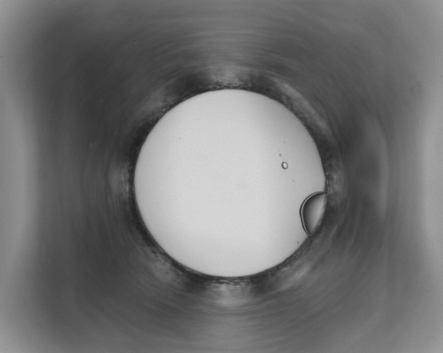 X0000111820466200909031454