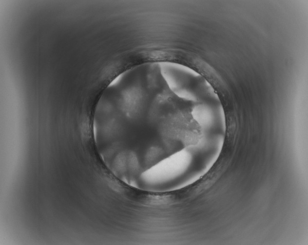 X0000111820469200909031454