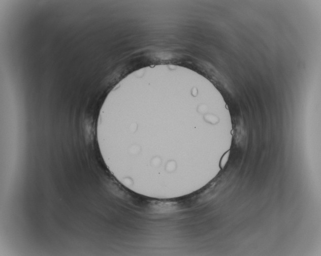 X0000111820476200909031454