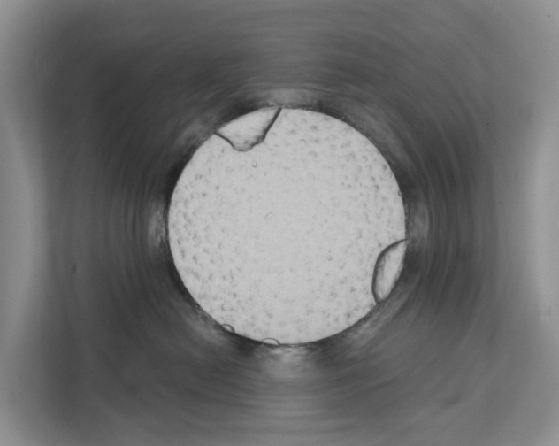 X0000111820478200909031454