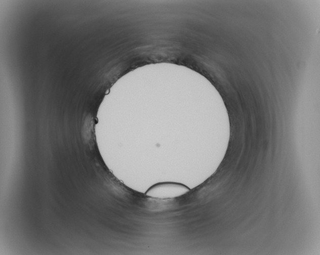 X0000111820480200909031454