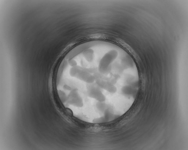 X0000111820482200909031453