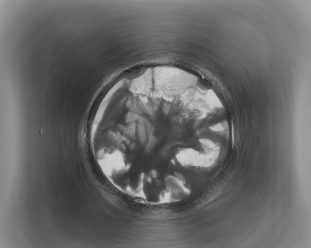X0000111820483200909031453