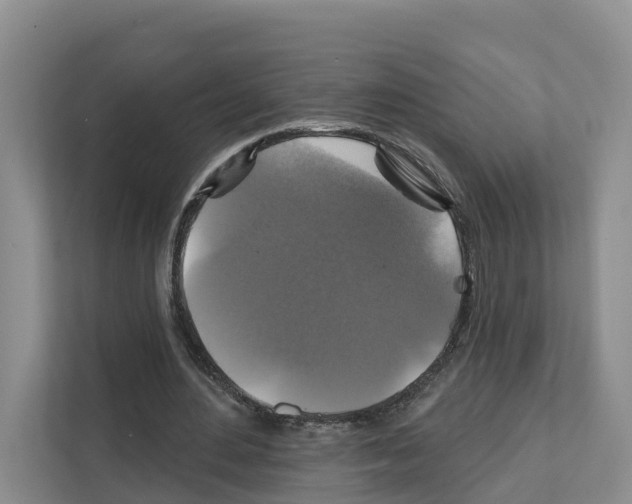 X0000111820484200909031453