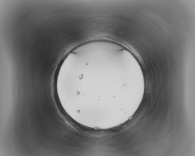 X0000111820485200909031453
