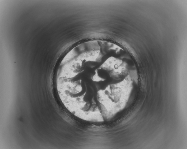X0000111820487200909031453