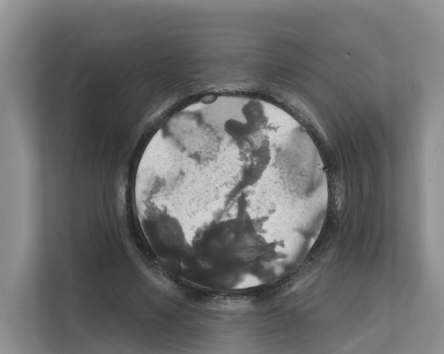 X0000111820491200909031453