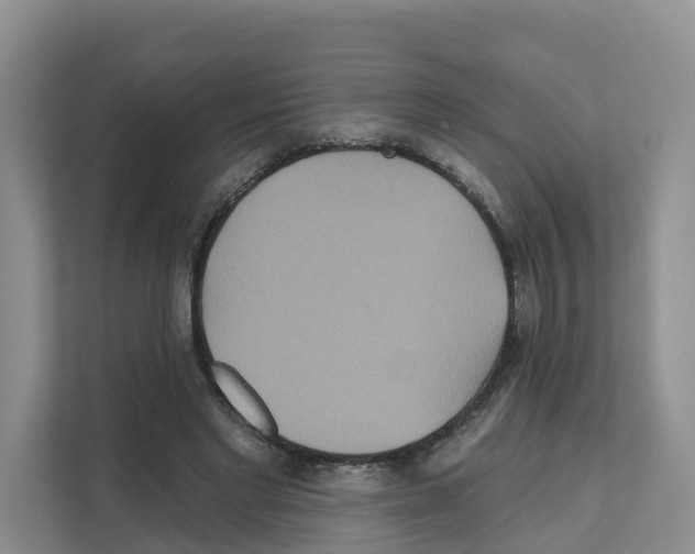 X0000111820493200909031453