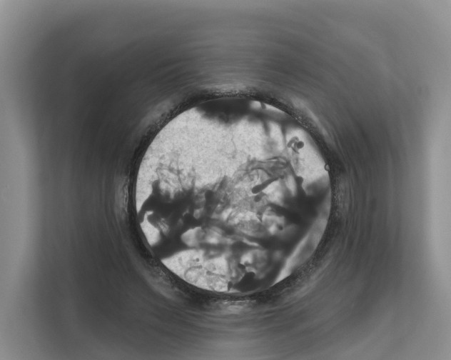 X0000111820495200909031453