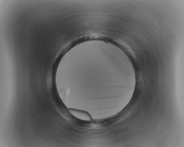 X0000111820496200909031453
