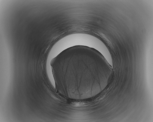 X0000111820500200909031453