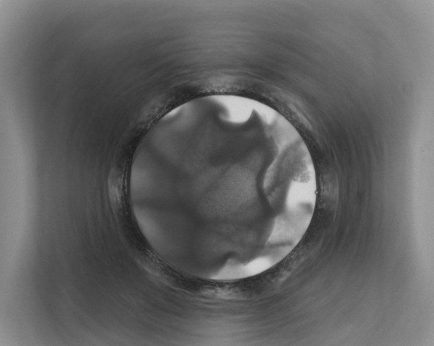 X0000111820503200909031453