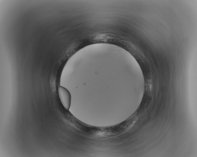 X0000111820504200909031453