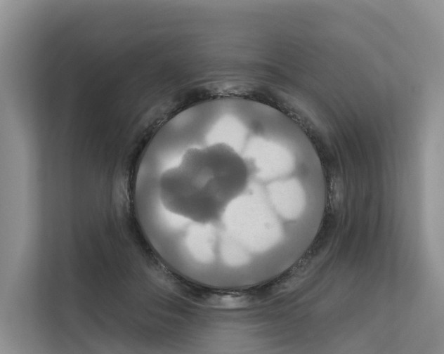 X0000111820506200909031453