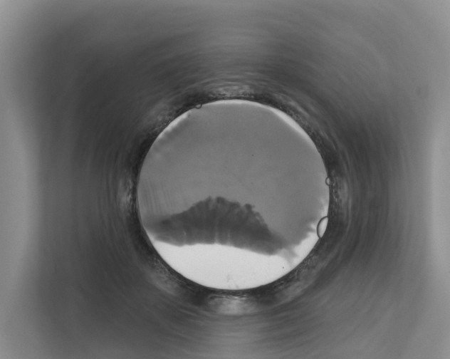 X0000111820507200909031453
