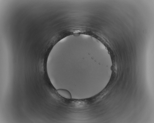 X0000111820512200909031453