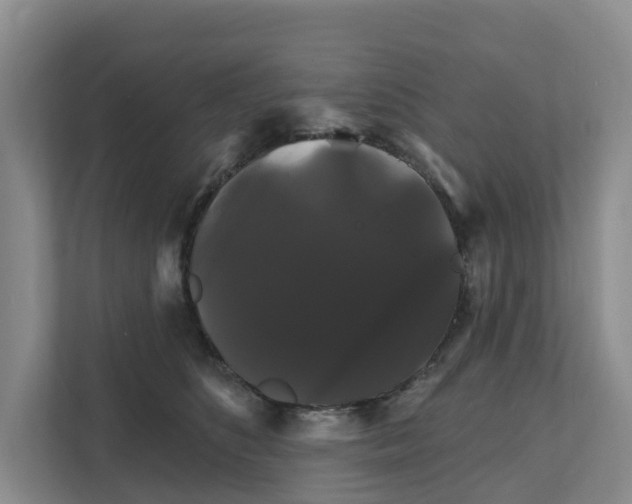 X0000111820516200909031453