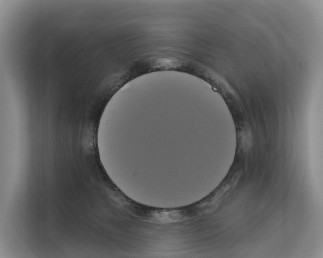 X0000111820517200909031453