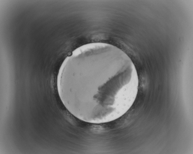 X0000111820519200909031453