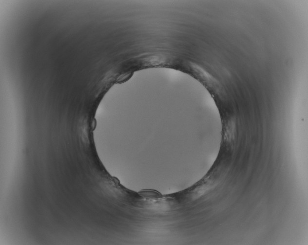X0000111820524200909031453