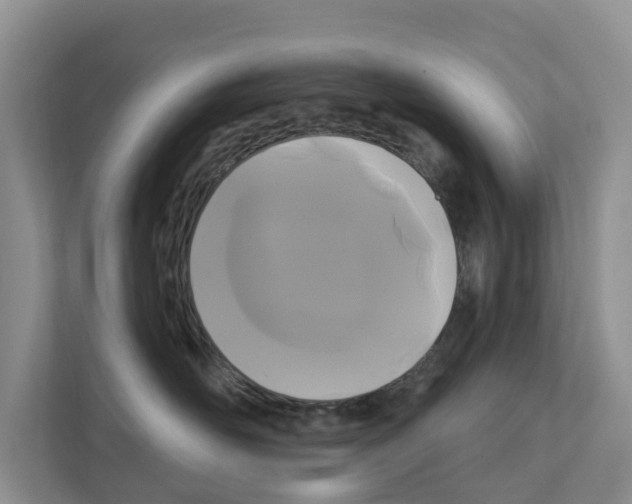 X0000111820526200909031453