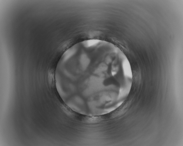 X0000111820527200909031453