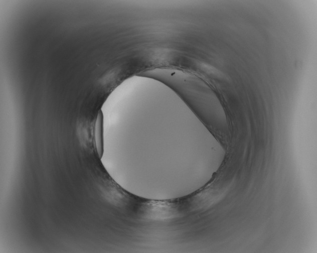 X0000111820528200909031453