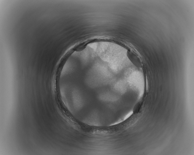 X0000111820531200909031452