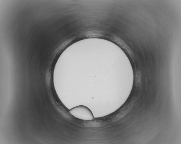 X0000111820533200909031452