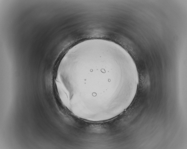 X0000111820534200909031452
