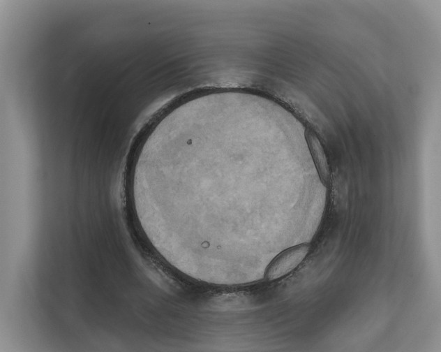X0000111820536200909031452