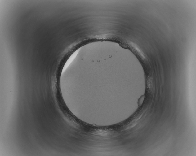 X0000111820540200909031452