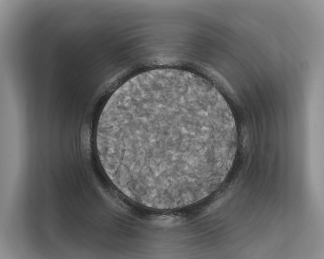 X0000111820542200909031452