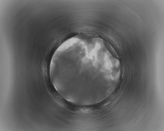X0000111820547200909031452