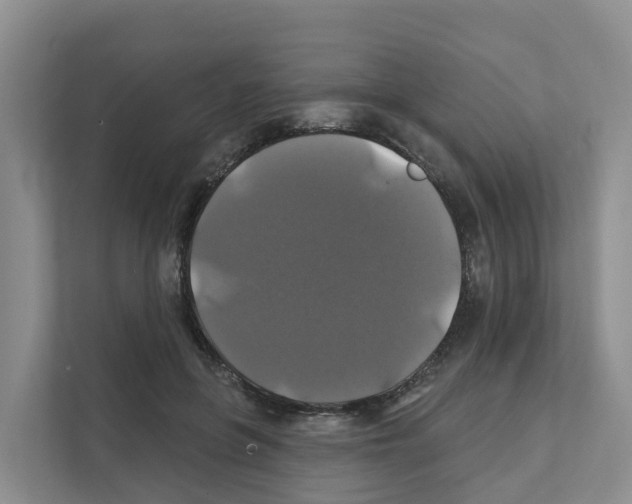 X0000111820551200909031452