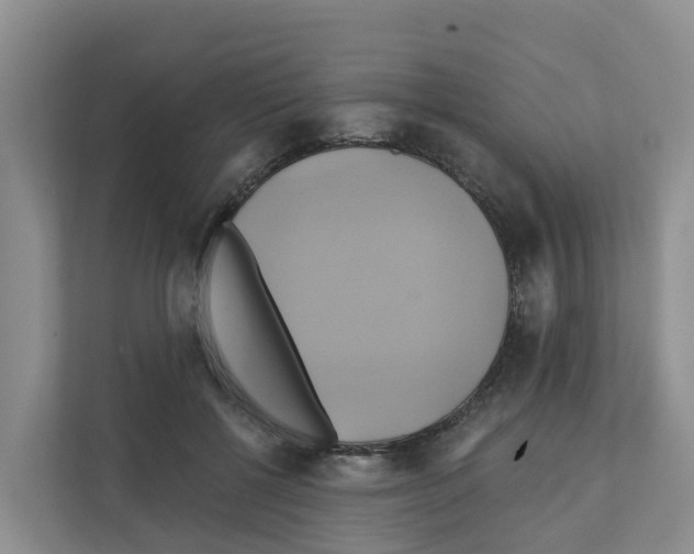 X0000111820552200909031452