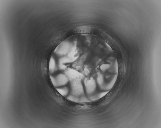 X0000111820553200909031452