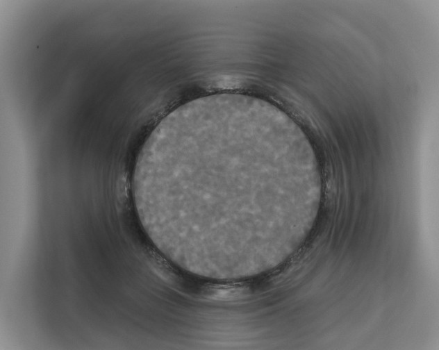 X0000111820555200909031453