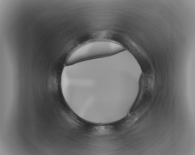 X0000111820558200909031453