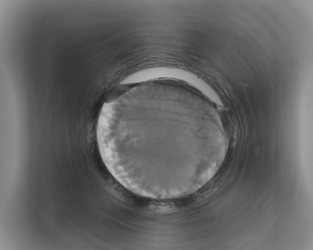 X0000111820559200909031453