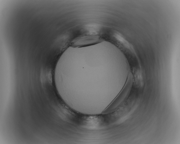 X0000111820562200909031453