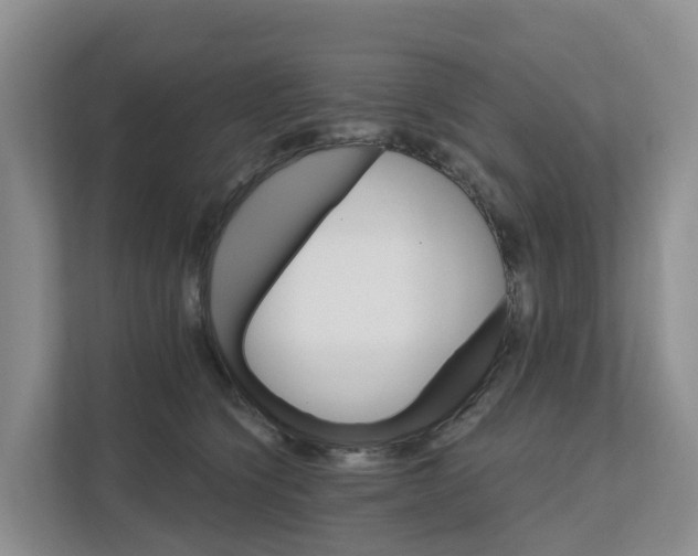 X0000111820564200909031453