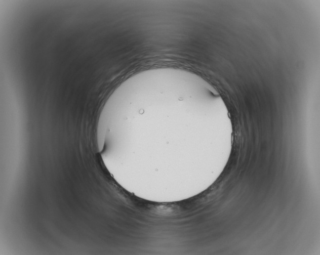 X0000111820566200909031453