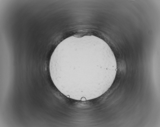 X0000111820567200909031453