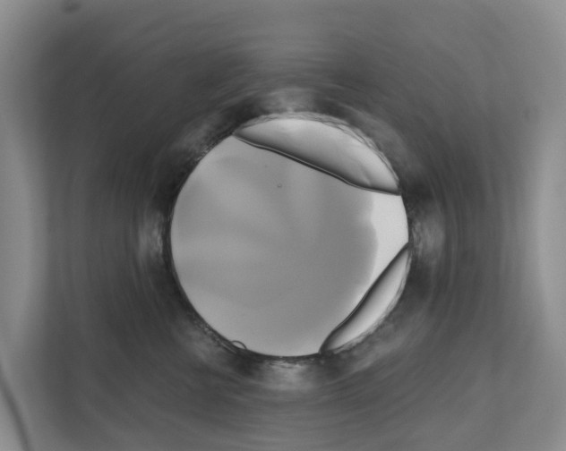 X0000111820570200909031453