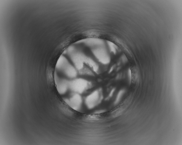X0000111820573200909031453