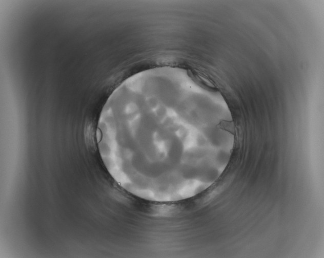 X0000111820575200909031453