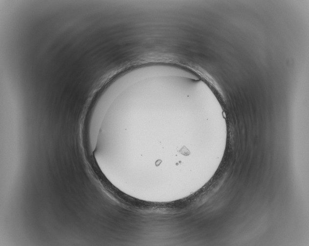 X0000111820581200909031452