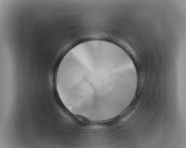 X0000111820585200909031452
