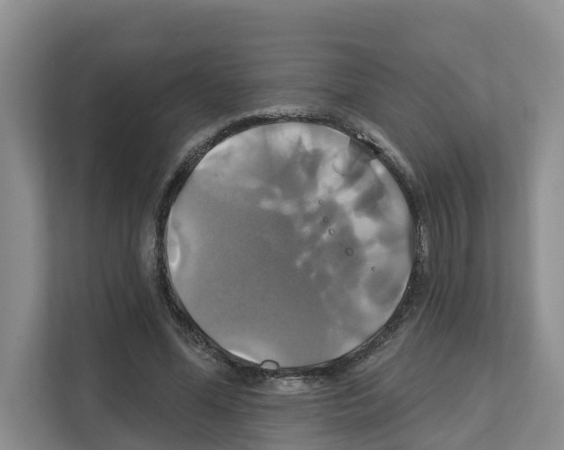 X0000111820588200909031452